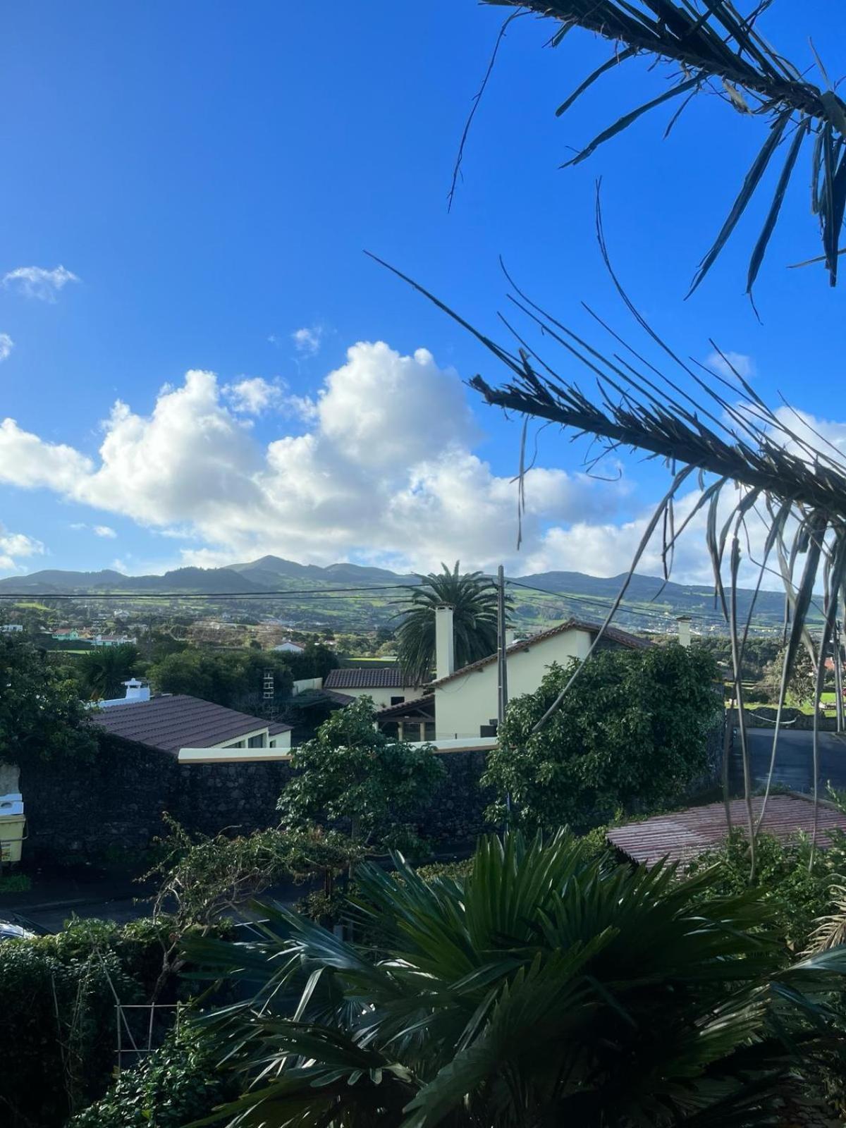 Casa Das Palmeiras São Vicente Ferreira エクステリア 写真